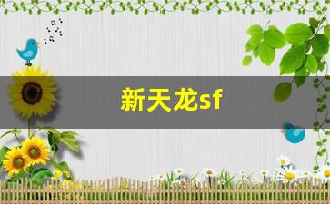 天龙八部私服网址：新天龙sf(新天龙sf网站) (3)