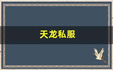 天龙私服(天龙手游私sf下载) (2)