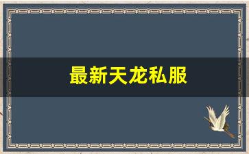 最新天龙私服 (15)