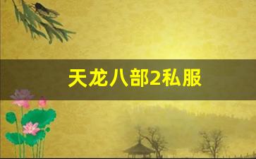 天龙八部私服发布：天龙八部2私服 (8)