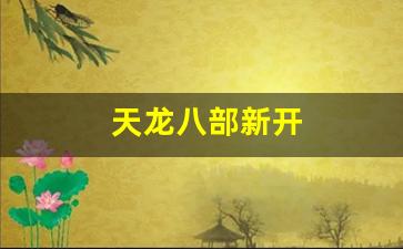 私服发布网站：天龙八部新开(新出的天龙八部)