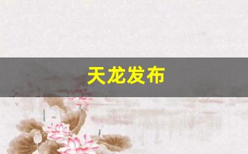 龙八部sf布网：天龙发布(天龙发布站源码) (3)