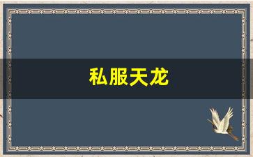 私服天龙 (4)