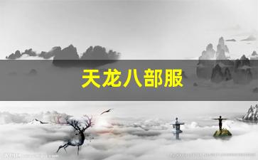 天龙八部私服一条龙：天龙八部服(天龙八部服务器列表) (2)