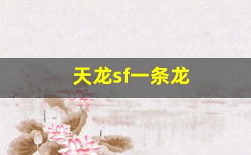 天龙sf一条龙(天龙一条龙是什么意思) (2)