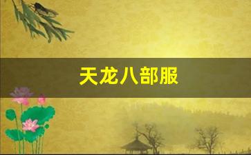天龙八部服(天龙八部服务端下载) (3)