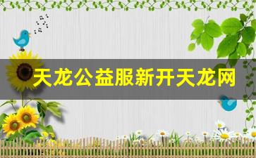 天龙公益服新开天龙网站(天龙八部公益服发布网) (6)