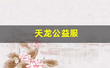 天龙公益服(天龙八部公益服开服表)