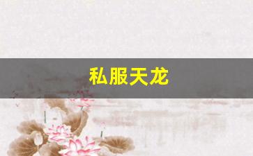 私服天龙 (15)