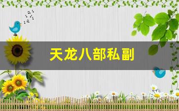 天龙八部私副(天龙八部副职业) (3)