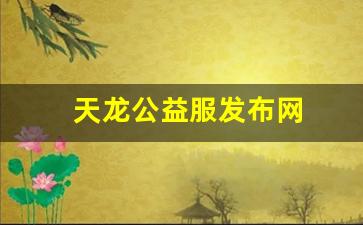 天龙公益服发布网(天龙八部公益服发布网)