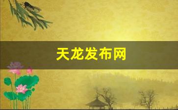 天龙发布网(天龙网站官方) (2)